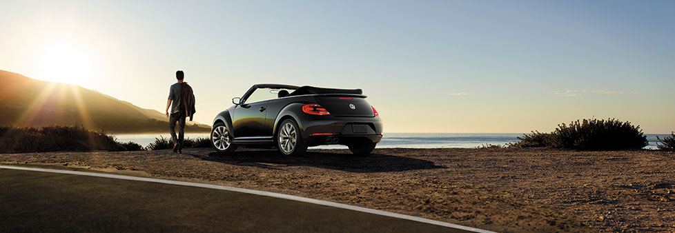beetle